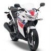 Honda CBR 250R