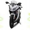 Kawasaki Bajaj Ninja 300