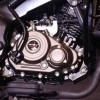 Engine Guard