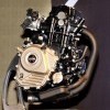 Engine Guard