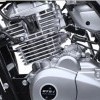 Engine Guard