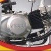 Engine Guard