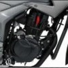 Engine Guard