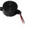 Buzzer
