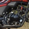 Engine Guard