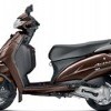 Guard Kit (Activa) - Brown