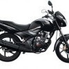 Pillion Holder