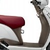 Brown Finished Inner Leg Shield