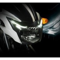 Beast-Inspired Headlamps