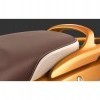 Pillion Grab Rail