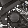 Engine Guard