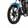 Mud Flap
