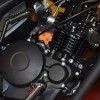 Engine Guard