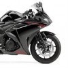Front Wheel Lock