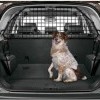 Dog Guard