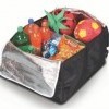 Trunk Organiser
