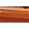 Paint Protection Film