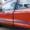 Body Side Graphics - Light