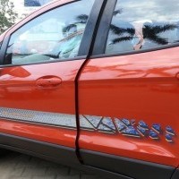 EcoSport Body Side Graphics - Light