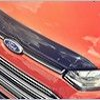 Bonnet Protector Bug Deflector