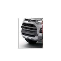 EcoSport Front Bumper Applique Silver