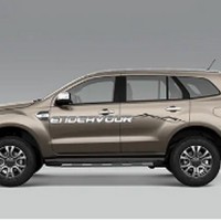Endeavour Body Graphics