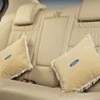 Fiesta Pillows