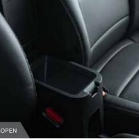 Amaze Armrest Open