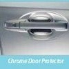  Chrome Door Protector