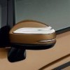 Door Mirror Garnish