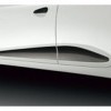 Side Body Molding Graphics