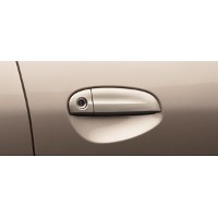 Body Color Door Handles