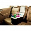 Portable Car Chiller and Warmer