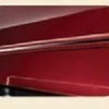 Sturdy Side Body Moulding