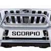 Stainless Steel Front Guard
