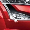 Arresting Fog Lamp Over Lays