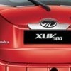 Neat tailgate accent