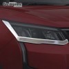 Head Lamp Garnish Chrome