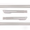 Body Side Moulding (Silky Silver With Chrome Insert)