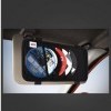 CD Visor