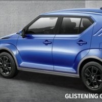 Ignis Body Side Moulding - Glistening Grey