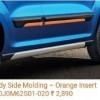 Body Side Moulding  - Orange