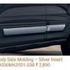 Body Side Moulding - Silver