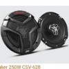 Speaker 250W