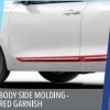 Body Side Moulding Red Garnish