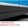 Body Side Moulding