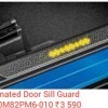 Illuminated Door Sill Guard