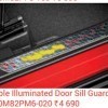 Variable Illuminated Door Sill Guard