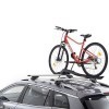 Bicycle Carrier
