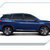 Body Graphics Elegant Wave Dark Body